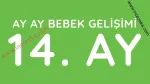 14 aylık bebek gelişimi