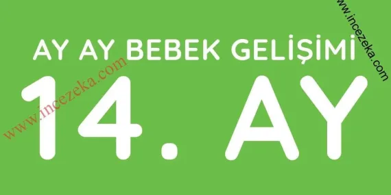 14 Aylık Bebek Gelişimi