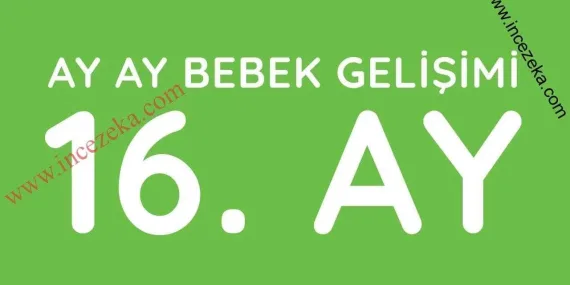 16 Aylık Bebek Gelişimi