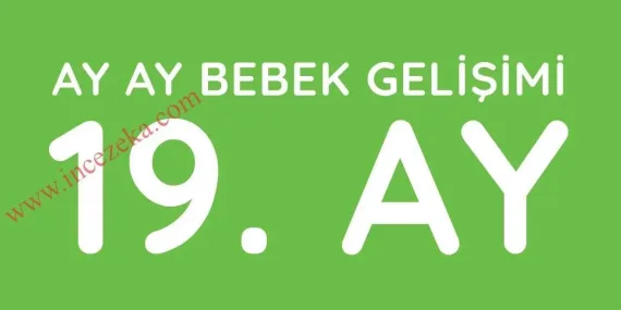 19 Aylık Bebek Gelişimi