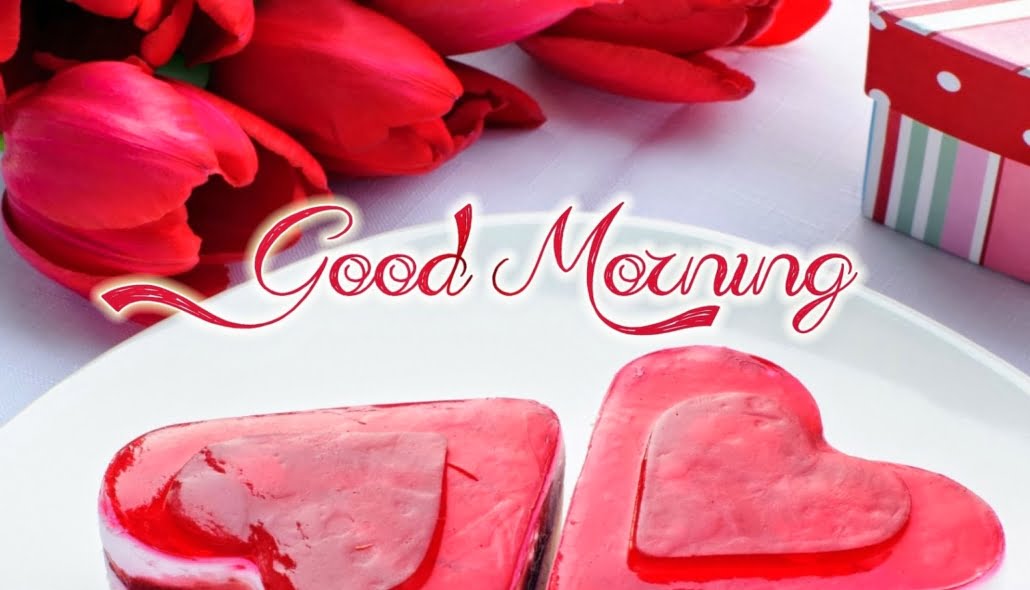 Good Morning Messages For Girlfriend ; If you are looking for the best Romantic Good Morning For Girlfriend? Then you are in the right place.