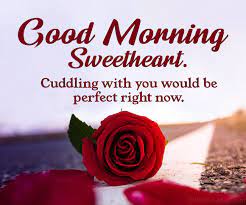 Good Morning Messages For Girlfriend ; If you are looking for the best Romantic Good Morning For Girlfriend? Then you are in the right place.