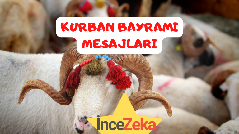 Kurban Bayramı mesajları 2023 Sevdikleriniz için anlamlı ve resimli bayram mesajlar. Değişik anlamlı, dualı Kurban bayramı mesajı, Bayramınız mübarek olsun! kurban bayramı mesajları , kurban bayrami mesaji , kurban bayramı mesajı , değişik bayram mesajları , kurban bayram mesajları , kurban bayramınız mübarek olsun , kurban bayramı mesajları 2023 , kurbana bayramı 2023 mesajları , kurban mesajları , kurban bayrami mesajlari , kurban bayraminiz mübarek olsun , kurban bayramı mesajları resimli , kurban bayramı mesajları resimli 2023 , resimli kurbanbayrami mesajlari 2023 , kurban bayram mesajı , kurban bayramı resimli mesajları , kurban bayraminiz mubarek olsun , qurban bayrami tebrikleri , kurban bayramı sözleri , kurban bayramı mesajı 2023 , kurban bayramı mesajı kısa , kurban bayrami mesajlari 2023 , sevgiliye kurban bayramı mesajı , kurban bayramı mübarek olsun , kurban bayramı resimleri , resimli kurban bayramı mesajları , en güzel kurban bayramı mesajları , kurban bayramı kutlu olsun , resimli bayram mesajları 2023 , bayram mesajları resimli 2023 , kurban mesajları resimli , kurban bayrami mesajlari resimli , kurban bayram mübarek olsun , kurban bayramı kutlama mesajları , kurban bayrami 2023 mesajlari , komik kurban bayramı mesajları , kurban bayram mesaji , kurban bayramı mesajları kısa , kurban bayramı tebrikleri , kurbam bayrami mesajlari , kurbanbayrami tarihi 2023 mesajları , kurban bayramı kutlama kartı , kurban bayramı mesajı resimli , kurban bayram mesajlari , kurban bayramı resimli mesajlar , kurban bayramı tebriği , en güzel kurban bayramı mesajları 2023 , kurban bayrami mesaji 2023 , resimli kurbanbayrami mesajlari , kurban bayramı mesajları anlamlı resimli , kurbann bayramı mesajları , bayram mesajı kurban , kurban bayramı ile ilgili sözler , kurban bayramı mesajı resmi , en güzel kurbanlık bayramı mesajları , kurbana bayramı mesaj , kurban bayram mesajları resimli 2023 , kurban bayramı tebrik mesajları , kurban bayrami mesaj , resimli bayram mesajları 2022 , kurban bayramı 2023 mesajları , kurban bayrami resimli mesajlar , kurbanbayrami mesajlari , kurban bayramı msj , resimli kurban bayramı mesajları 2022 , kurbanbayrami mesajı 2023 , kurban bayramınız mübarek olsun mesajları , kürtçe kurban bayramı mesajı , güzel kurban bayramı mesajları , kurbanbayrami mesajlari 2022 , kurban bayramı kutlama , kurban bayram mesajları 2023 , bayram mesajı resimli 2023 , kurbana bayramı mesajları 2023 , kurban bayramı resimli mesajları 2023 , kurban mesaji , kurban bayramı kartları , kısa kurban bayramı mesajları , kurban bayrami mesaji resimli , kurban bayramımız mübarek olsun , bayram mesajları kurumsal , kurban bayramı mesajları komik , kurban bayramı için güzel sözler , 2023 kurban bayramı mesajları , kurban bayrami 2023 mesaji , bayram mübarek olsun 2023 , kurban bayramı ile ilgili mesajlar , kurban resimleri , arapça kurban bayramı mesajları , dini kurban bayramı mesajları , anlamlı kurban bayramı mesajları , kurban bayrami sözleri , kurban bayramı komik mesajları , en guzel kurban bayrami mesajlari , kurban bayraminiz mubarek olsun resimli , kurban bayram 2023 mesajlari , kurban bayrami kutlama mesajlari , resimli kurbanbayrami mesajlari 2022 , kurban bayramı mesajları sevgiliye , kurban bayram mesajları resimli , kurban bayraminiz kutlu olsun mesajlari , bayraminiz kutlu olsun mesaj , en güzel kurban bayramı mesajı , kurban bayramı ile ilgili güzel sözler , kurban bayrami resimler , kurban bayram tebriği , kurban bayramı yazıları , kurban bayram dilekleri , kurban bayramı dilekleri , kurban bayramı güzel sözler , kurban bayramı tebrik kartları , kurbana bayramı 2023 mesajları resimli , kurban bayramin kutlu olsun , resimli kurban bayramı mesajı , kurban bayramı mesajları kurumsal , kurban bayramı kutlu olsun resmi , kurban bayramı mesajları indir , kurban arefesi mesajları , kurban bayrami mesajlari anlamli resimli , kurban bayramı mesajı anlamlı , kurban bayrami tebrik mesaji , kurban ile ilgili sözler , kurban bayramı komik , kurban bayram mesajı kısa , kurbanbayrami resimli mesajlari , bayram mesajları kurban , kurban bayramı kısa mesajları , kurbanbayrami mesajlari guzel sozler , kurban bayramı için mesajlar , bayram mesajları 2023 resimli , kurban bayramı mesajı resimli 2023 , kurban bayramı mesajı komik , kurban bayramı mübarek , kurbanbayrami mesajlari resimli , kurban bayramınız mübarek olsun yazısı , kurbanla ilgili sözler , kurban mesaji resimli , qurban bayramı tebrikleri , kurban bayram mesajı resmi , kurban bayramı mesajları anlamlı , kurban bayramı arefe mesajları , cuma ve kurbanbayrami mesajlari , kurban bayramı mesajları yazılı , kurban bayramı mesajları dini , kurban bayramı tebrik mesajı , sözleri değişik bayram mesajları , şeker bayramı resimleri , bayramınız mübarek olsun yazısı , kurban bayram mesaji resimli , kurban mesajlari resimli , en güzel kurbanlık bayramı mesajları resimli , bayram mesajı kurban bayramı , kurban mesajı kısa , kurban bayramı mübarek olsun mesajı , hareketli kurban bayramı mesajları , kurban bayrami msj resimli , en iyi kurban bayramı mesajları , kurban bayramı mesajı indir , kurban bayramı mesajı sevgiliye , bayraminiz mübarek olsun 2023 , en guzel kurban bayrami mesajlari resimli , hayirli kurban bayramlar , komik kurbanlık mesajları , kurban msj resimli , kurban bayramınız kutlu olsun yazısı , bayram kurbanı mesaj , kurban mubarek olsun , iyi bayramlar kurban bayraminiz mubarek olsun , kurban bayrami mesajlar , sevgiliye kurban bayrami mesaji , kurban bayramı dini mesajları , yazılı kurban bayramı mesajları , bayram mesajları kısa 2023 , kurban bayram kartları , hayırlı bayramlar kurban , dualı kurban bayramı mesajları , kurban bayramı yazılı mesajları , kurban bayramı sevgiliye mesaj , kurban bayramı mesaji 2022 , şeker bayramı tebrikleri , ayetli kurbanbayrami mesajlari , kurban bayrami ile ilgili sozler , kurbana bayramı mesajı 2023 , mesajları kurban bayramı mesajları , resmi kurban bayramı mesajları , kurban bayrami kutlama , iyi bayramlar mesajı komik , kurban bayramıyla ilgili sözler , bayram mesajları indir resimli , en anlamlı kurban bayramı mesajları , kurban bayramı sözleri kısa , kurban bayramı tebrikleri resimli , kurban bayramınız kutlu olsun resimli , kurumsal kurban bayramı mesajları , kurban bayrami resimli mesajlar 2023 , komik kurban bayramı mesajı , arefe ve bayram mesajları , komik kurban bayrami mesajlari ,